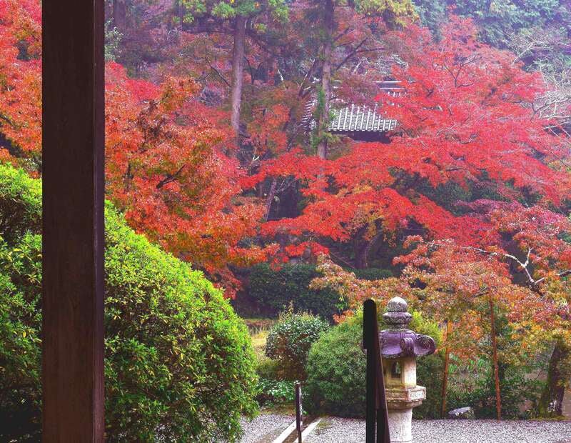 【大阪・阪神エリア発】 こんな旅してみたかった！　紅葉ミステリー　日帰り3