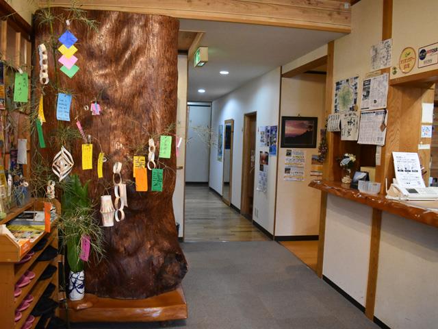 ■往復航空機利用で行く世界遺産「屋久島」≪フリープラン≫民宿屋久島指定　3泊4日2