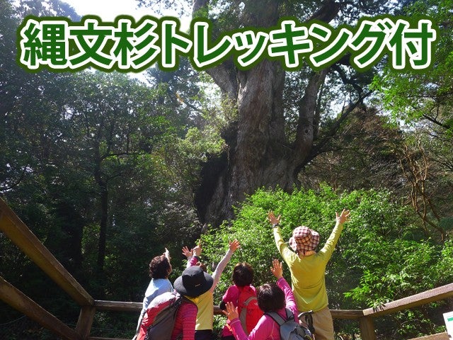 ■航空機+フェリー利用で行く≪初泊鹿児島＆世界遺産「屋久島」≫縄文杉トレッキング付　民宿ふれんど指定　4泊5日1