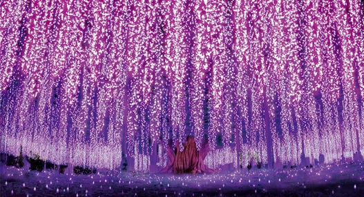 <新宿発・西船橋発> たっぷり2時間滞在!あしかがフラワーパーク・夢ライナー ~日本三大イルミネーション「光の花の庭」 と アウトレットでお買い物♪~