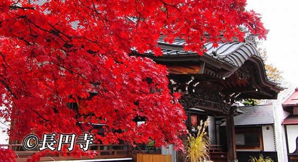 ＜新宿発・西船橋発＞ ～秋色の信州・蓼科紅葉めぐり～　神秘の御射鹿池＆もみじの長円寺 と 老舗の味噌蔵で食す「信州豚しゃぶしゃぶ・信州そば御膳」の昼食2