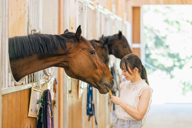 【富山県内発】 全客室オーシャンビュー＆珍しき畳敷きの湯で有名な温泉リゾートホテルに宿泊！飛躍のうま年！うま～い新春お年玉福袋ミステリーツアー２日間2
