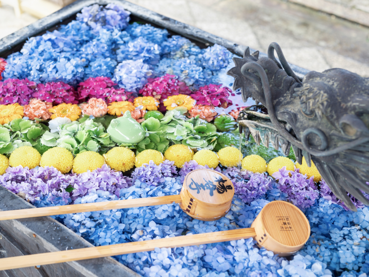 京の夏花物語！「楊谷寺あじさいウィークと美しき花手水」＆「大原三千院あじさい祭」【大和八木・橿原神宮・五位堂発】2
