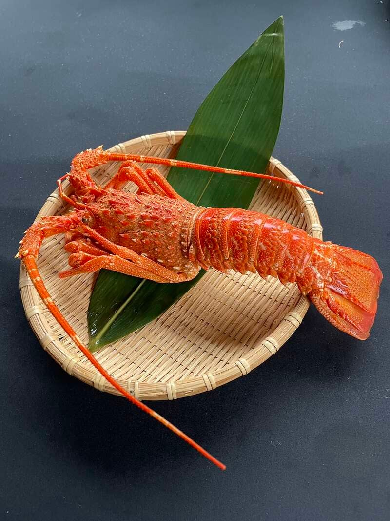 【佐賀・神埼・目達原・中原・鳥栖発】 イセエビまるごと1尾付き！カニまみれの贅沢な90分間！よみうりカニカニまつりin福岡　日帰り【秋のよかバス特集】3