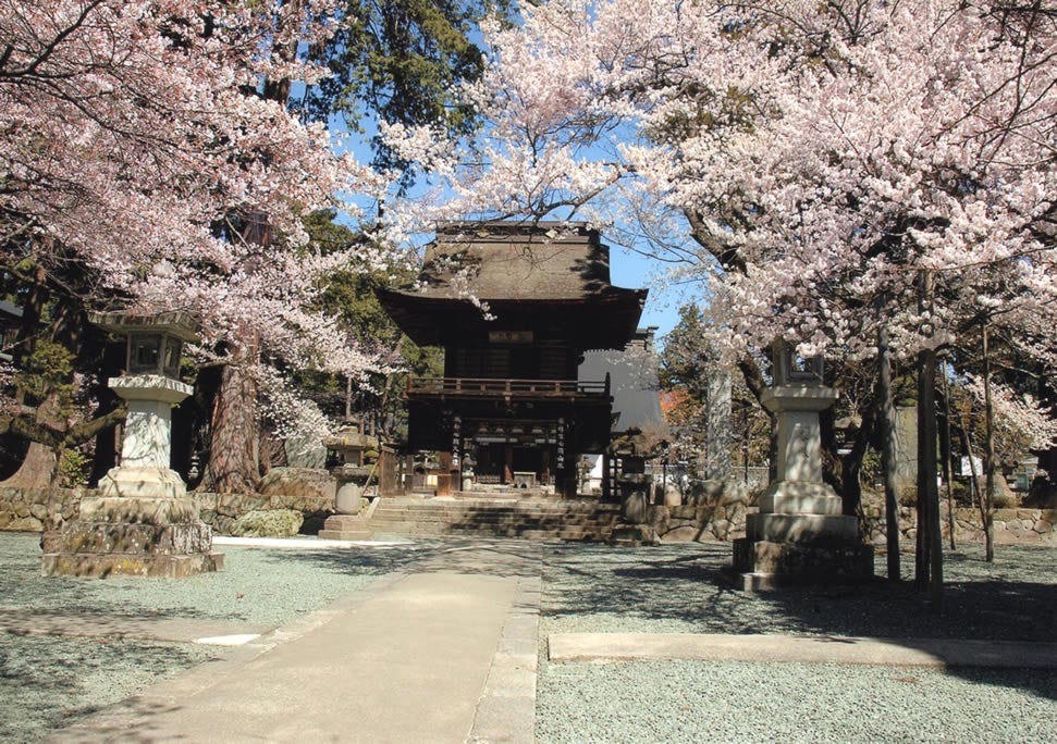 【静岡県内発】 春爛漫ミステリー3