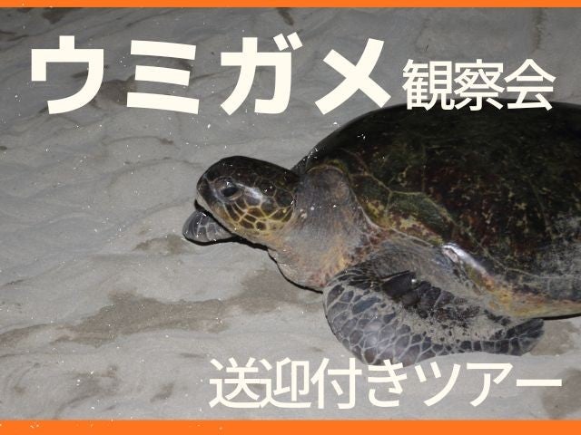 【夜のウミガメ観察会付き】往復航空機利用で行く世界遺産「屋久島」TheHotelYakushima OCEAN＆FOREST指定【部屋タイプを選択可能】　4泊5日1