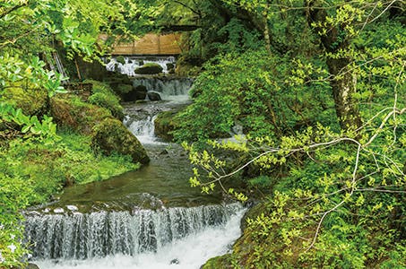 京都夏の風物詩 納涼「貴船」で食す川床料理と青もみじのトンネル「叡山電車」 日帰り　～異世界を思わせる涼と自然の中で味わう京の夏のひととき～1
