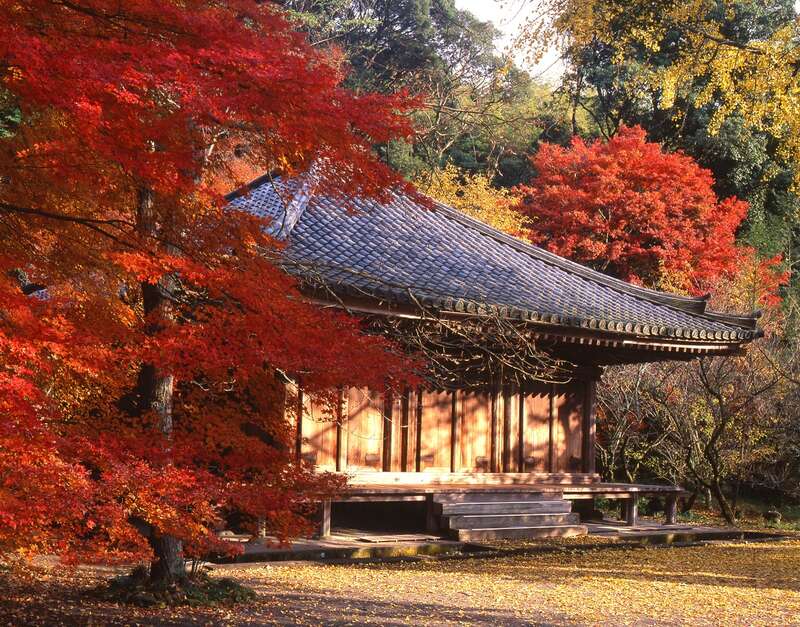【三沢空港発】 《神社仏閣》紅葉色に染まる神仏習合発祥の地「国東半島」と天孫降臨の伝説の地「高千穂」（３日間）1