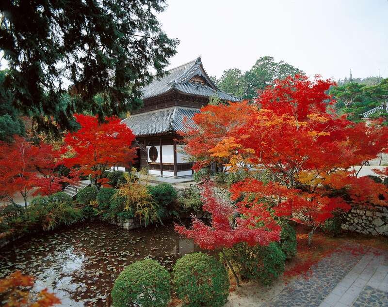 【高知県内発】 五感で愉しむ岡山秋散歩 日帰り～２大紅葉めぐりと備前焼で味わうヘルシー豆腐ランチ&夕食弁当２食付～2