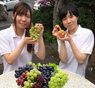 【近鉄大和西大寺駅：南口ロータリー発】 ぶどう王国岡山！サンサンぶどう祭り　日帰り
