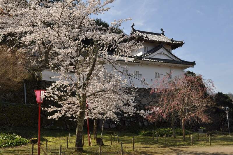 【東京駅・品川駅・新横浜駅発】 世界遺産　吉野千本桜と 湯村温泉・日本三名泉の有馬温泉　3日間3