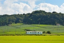 【刈谷・知立発】＊日帰り弁当付き＊『大井川鐵道EL列車と天竜浜名湖鉄道の春のＷ列車紀行』3