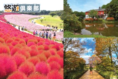 【広島空港発着】花と緑　癒やしのガーデンめぐり1泊2日【茨城編】 コキア彩るひたち海浜公園1