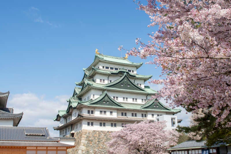 【富山・高岡・砺波エリア発】 豊臣兄弟！ 名古屋中村 大河ドラマ館　と　名古屋城桜まつり　　日帰り1