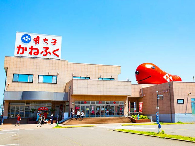 【新宿発】7,000円台～ぶっとび格安✨ひたちなか『ネモフィラの丘』青の絨毯を堪能💙＆『めんたいパーク』工場見学＋お土産付♪＆神秘的『酒列磯前神社』（入場料込）3