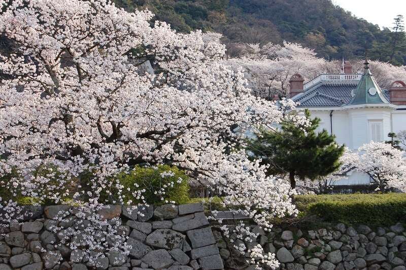 【兵庫県内発】 日本海鳥取海宝丼「モサエビ・白いか・境港サーモン」と 桜咲く！「鳥取城跡」＆世界ジオパーク「浦富海岸」クルーズ　日帰り2