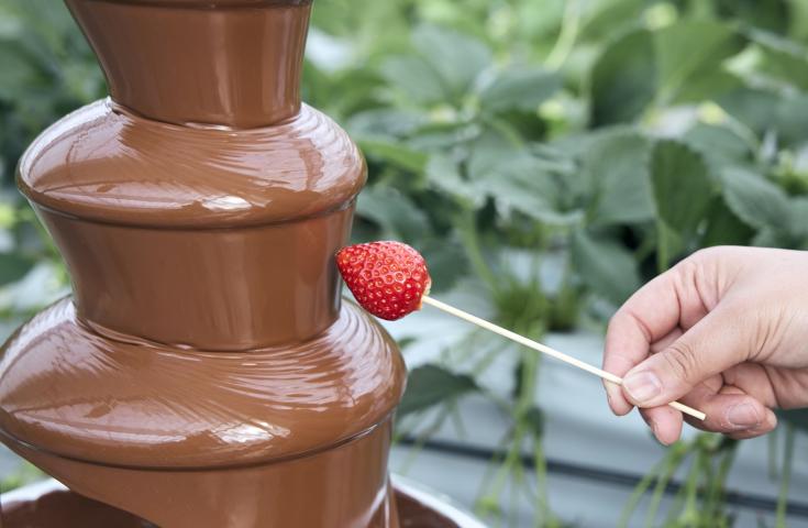 【愛犬同伴プラン】(2/22)】幻想的な山中湖アイスキャンドル&スカイランタン®フェスティバル鑑賞♪いちご狩り食べ放題(チョコレートファウンテン＆パンケーキも!!)、ヨーロピアンなカフェレストランでハンバーグセットを堪能の日帰りvipわんツアー！3