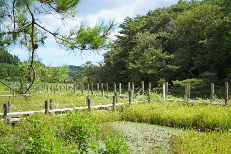 【小倉・黒崎・引野口発】ONCRI-KARATSUで味わう潮香会席と紫陽花咲く山水画の世界・大川内山＆メロン・桃食べ放題 日帰り2