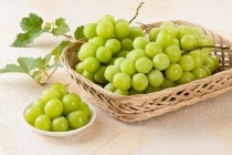【可児・多治見発】＊日帰り昼食付＊秋を満喫！ぶどうの波に溺れる！『圧巻のトリプルぶどう三昧』1