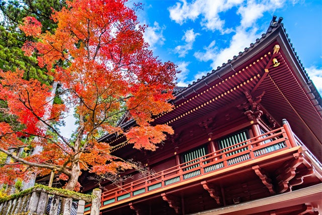 【新宿/東京発】秋色鮮やかに染まる日光へ！　＜日光で約2時間のフリープラン♪＞日光東照宮・輪王寺＆日本三名瀑「華厳の滝」、日光いろは坂・中禅寺湖めぐる　日帰りバスツアー3
