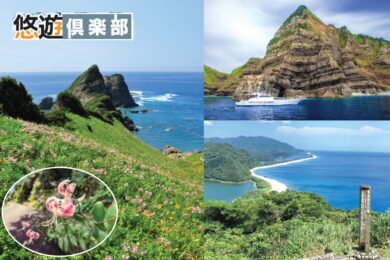 【広島駅発着】四季を訪ねて散歩旅3日間　薩摩半島に浮かぶ絶景の秘島　甑島 断崖クルーズ＆カノコユリ散歩1