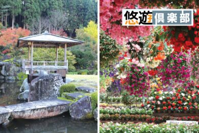【広島駅新幹線口・不動院バス停・中筋（にしき堂前側道）発着／日帰り】花と緑　癒やしのガーデンめぐり【松江フォーゲルパーク＆石照庭園】1