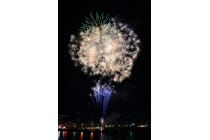 1名参加ＯＫ！【高浜・刈谷・知立発】＊１泊２食付＊心揺さぶる、夏の情熱と熱気。日本の伝統と花火の旅　『伊東温泉夢花火』