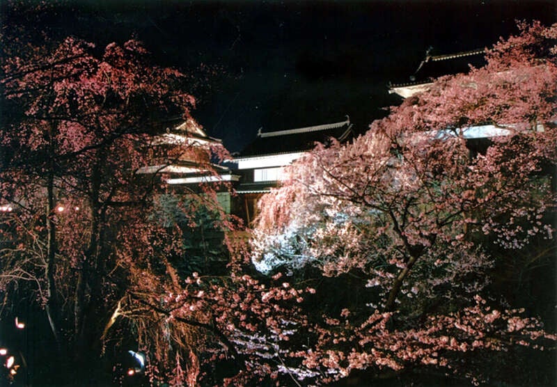 【東京駅・上野駅発】 ＜WEB予約・カード決済限定＞第23回上田城千本桜まつりと信州の鎌倉『別所』　日帰り1