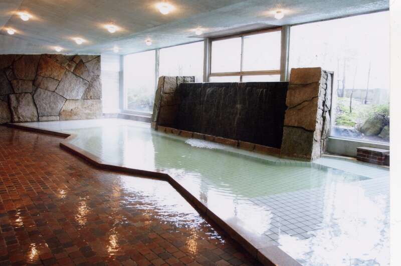 【大阪駅・三ノ宮駅・明石駅・姫路駅・上郡駅 】往復特急「スーパーはくと」に乗車(大阪駅⇔倉吉駅間)！皆生温泉で食すカニ会席と松江・倉吉２日間2