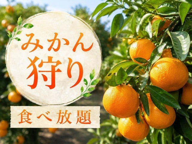 ■【静岡】香り立つ緑の楽園♪秋の茶摘み体験＆旬のみかん狩り食べ放題！昼食はうなぎ釜めし御膳＆伊豆わさびミュージアムでお買い物！3