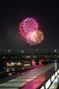 【岡山空港発】 《花火》貸切屋形船から観る隅田川花火大会と鎌倉・箱根・富士・東京スカイツリー・東京タワー・吉原・浅草３日間