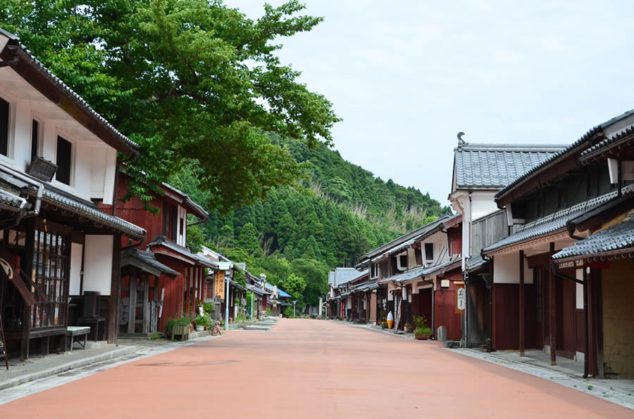【富山県内発着】映えスポット！「びわこ箱館山」と熊川宿3