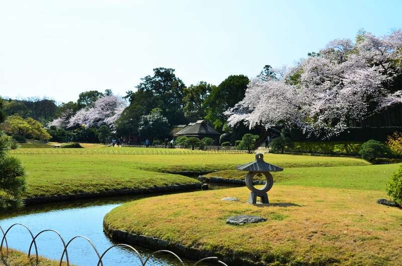 【出雲市・斐川・松江・安来・米子発】 読売新聞愛読者謝恩旅行 岡山さくらカーニバルと日本三名園・後楽園の桜＆旭川さくらみち  日帰り3
