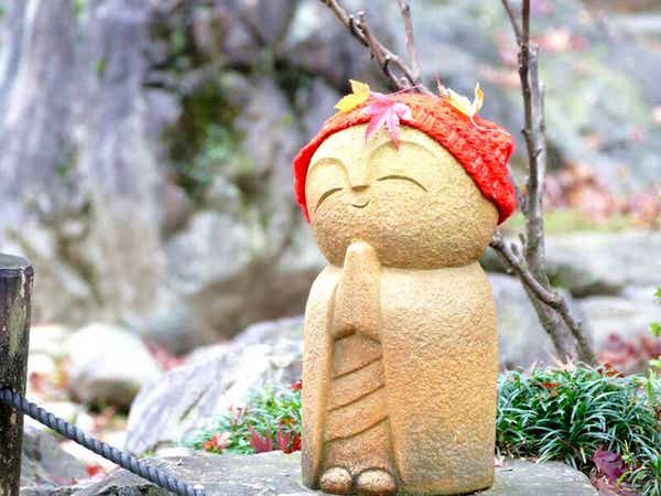 【東京都内発※町田を除く】 ～一度は見たい幻想世界～「宝徳寺」床もみじ特別公開と NEWオープン！ぐんまフラワパークプラス　とろける口福（こうふく）の「福豚しゃぶしゃぶ」ランチ　日帰り3