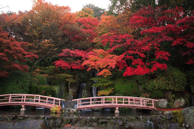 【直方・小竹・新飯塚・飯塚発】 【佐賀県団体旅行助成適用】佐賀海苔しゃぶ鍋を味わう！泉山もみじのトンネル一般開放＆有田秋の陶磁器まつりと日本庭園でのお茶会　日帰り　2