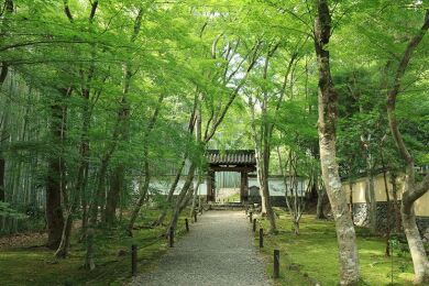 ことこと歩く古都京都2日間～大徳寺特別公開 塔頭3カ寺と西京の古刹～1