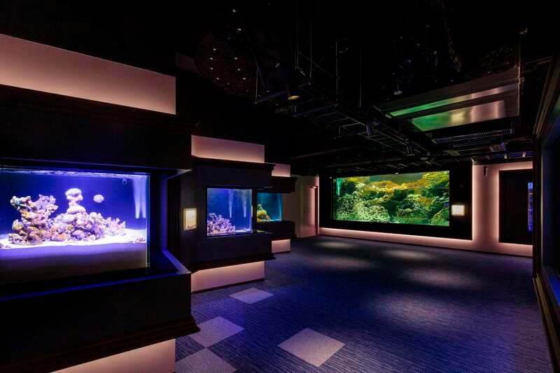 【JR福山駅発】四国水族館とホテルアネシス瀬戸大橋ランチバイキング　日帰り3