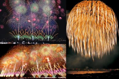 【広島駅・福山駅・岡山駅・新岩国駅・徳山駅発着】日本三大花火　長岡まつり大花火大会と越後文化を訪ねる３日間 ～月岡温泉「白玉の湯 華鳳」に宿泊～1