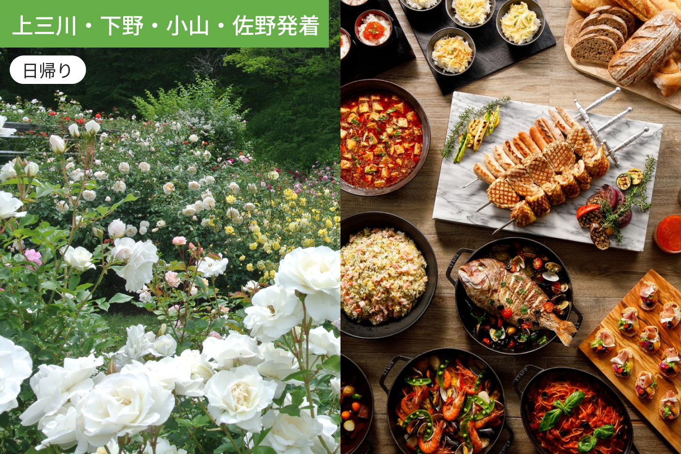【上三川・下野・小山・佐野発着】初夏の軽井沢　バラと緑を愛でる「軽井沢タリアセン」散策と 軽井沢プリンスホテルウエストランチビュッフェ【昼食付】1