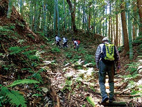 奈良盆地を一望 龍王山
