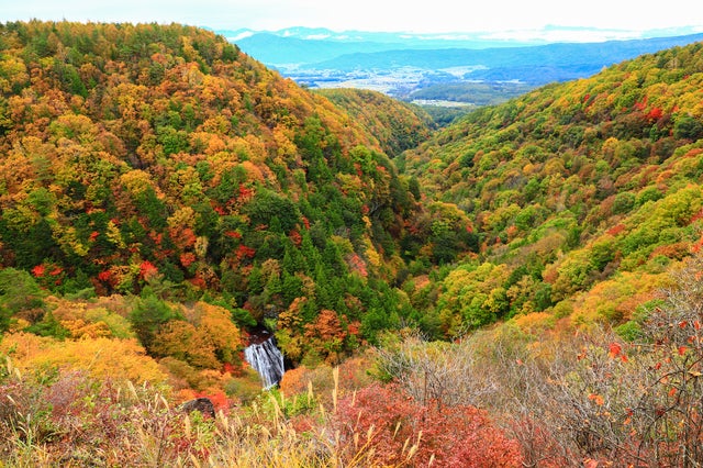【静岡県内発】 南信州・山梨紅葉名所めぐり！湖畔と満天の星空「蓼科レイクリゾート」2