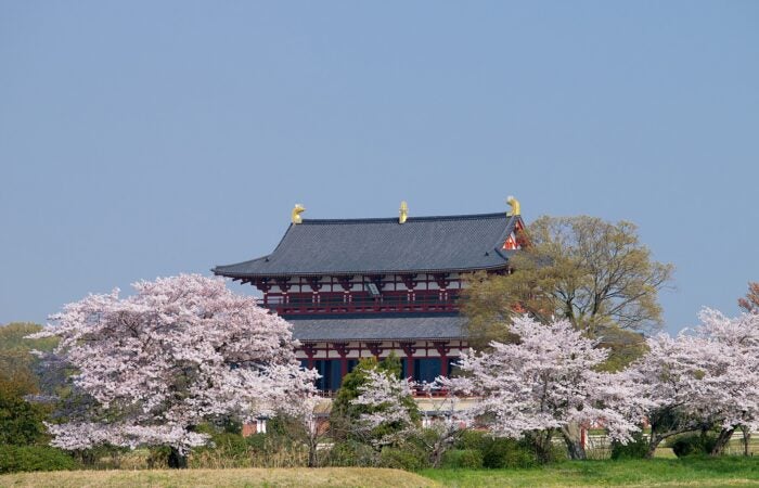 【梅田発】　吉野山と平城宮跡の桜 吉野山＆平城宮跡 桜の名所Ｗ鑑賞！奈良名物『柿の葉ずし』昼食付きツアー3