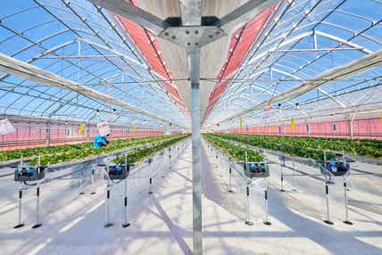 【奈良県内発】 「加西市」滞在型観光バスツアー助成!加西市魅力再発見ツアー! 「果樹花ふぁーむ」でいちご狩り食べ放題と鶉野飛行場跡「SORAかさい」 日帰り