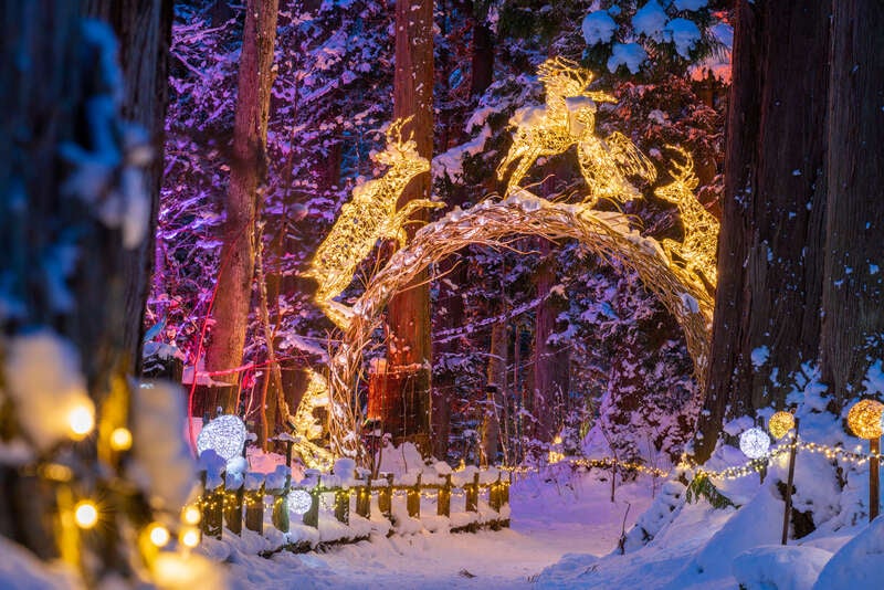 【南紀白浜空港発】 男鹿半島冬の風物詩「なまはげ柴灯まつり」と奥入瀬渓流氷瀑・十和田湖冬物語2026　3日間3