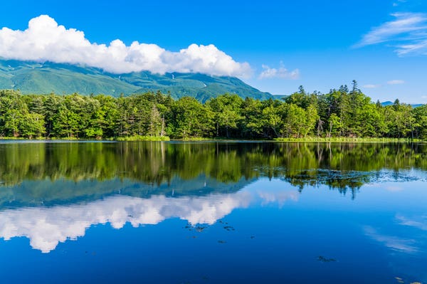 【栃木県内発】 北海道ぐるり周遊４日間　感動の１５景めぐり（十勝・摩周湖・硫黄山・知床・網走・旭山動物園・富良野・美瑛・小樽）と阿寒湖・層雲峡・定山渓温泉1
