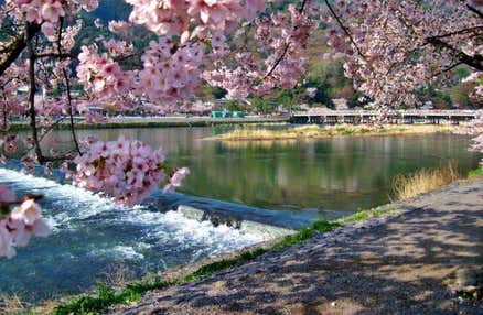 [難波/京都発]訪れたいスポットとして大注目の2大古都 京都・奈良周遊日帰りツアー　築120年以上の京町屋で召し上がる「黒毛和牛神戸牛しゃぶしゃぶ」に舌鼓！(英語ガイド付)