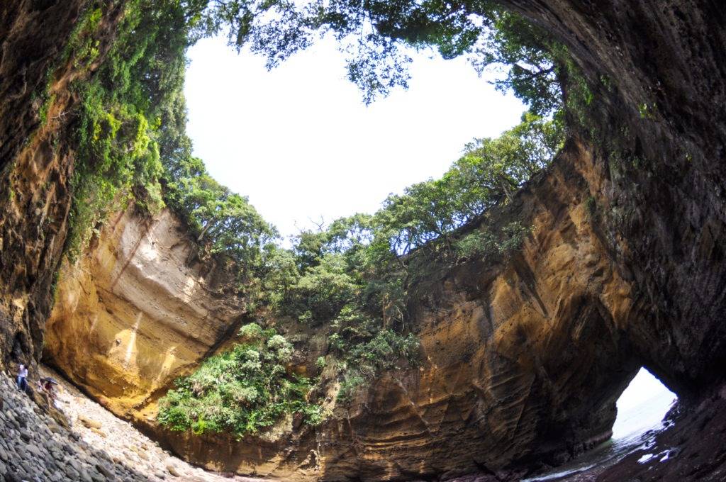 往復近鉄特急「ひのとり」利用！伊豆半島ぐるり一周 名景＆秘境・絶景めぐり 3日間【大阪難波駅・大阪上本町駅・鶴橋駅・大和八木駅発】3