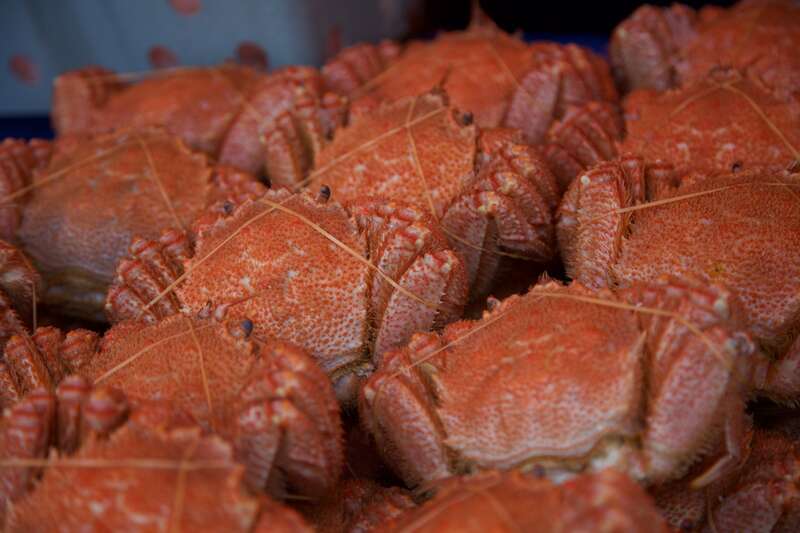 【旭川～名寄発】 オホーツク枝幸うまいもん祭り（日帰り）2