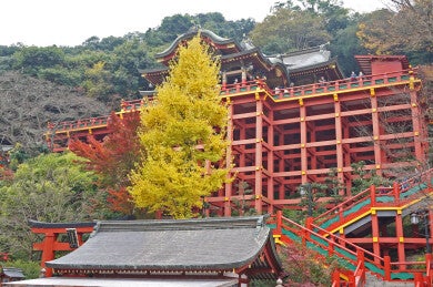 九州紅葉名所めぐり3日間～九年庵・御船山楽園・雷山千如寺・祐徳稲荷神社・竈門神社～2
