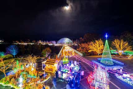 【高知県内発】 新春!出雲大社と寒牡丹咲く由志園・とっとり花回廊フラワーイルミネーション 2日間